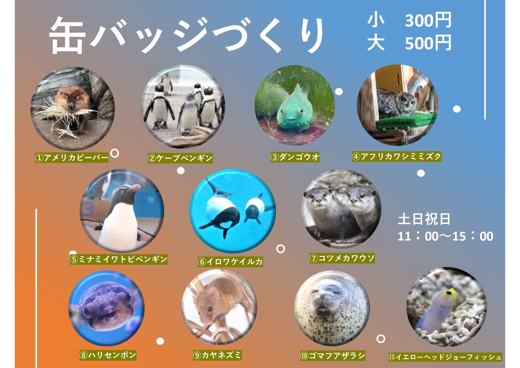 缶バッジづくり｜仙台うみの杜水族館