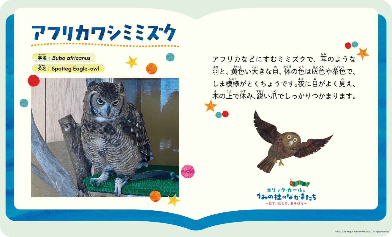 生きもの解説パネルイメージ