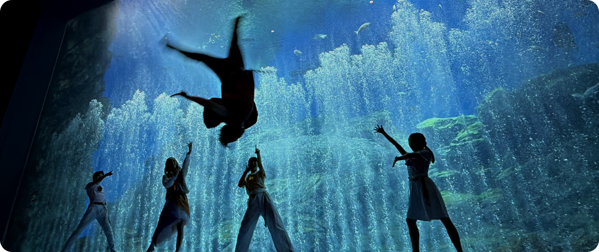 JUMP!JUMP!