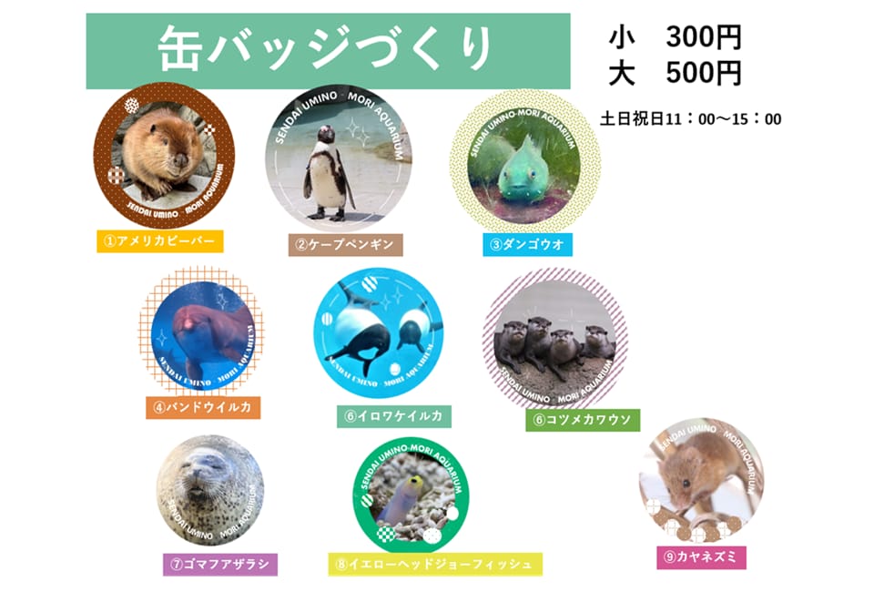 缶バッジづくり｜仙台うみの杜水族館