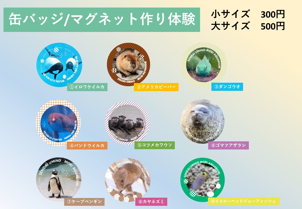 缶バッジ・マグネットづくり｜仙台うみの杜水族館