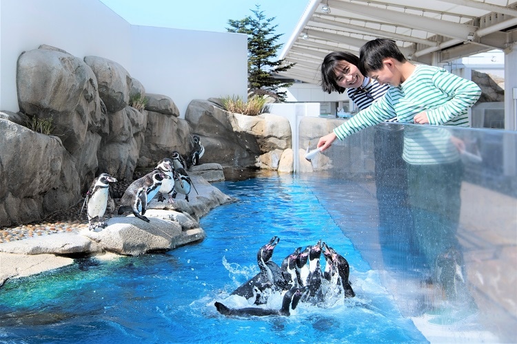 イベントスケジュール｜仙台うみの杜水族館