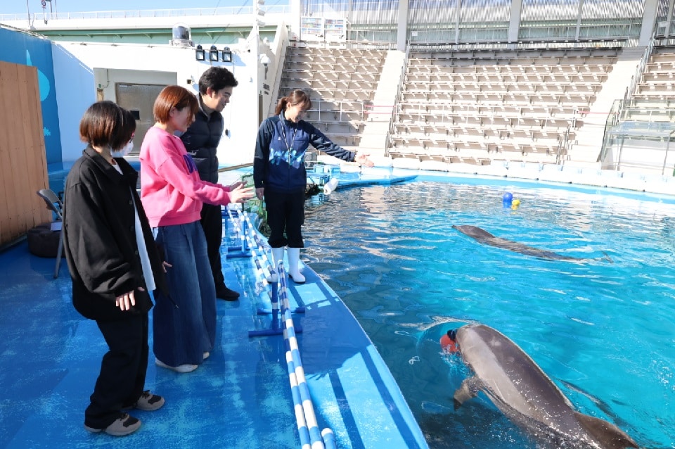 イルカすくすくウォッチング｜仙台うみの杜水族館