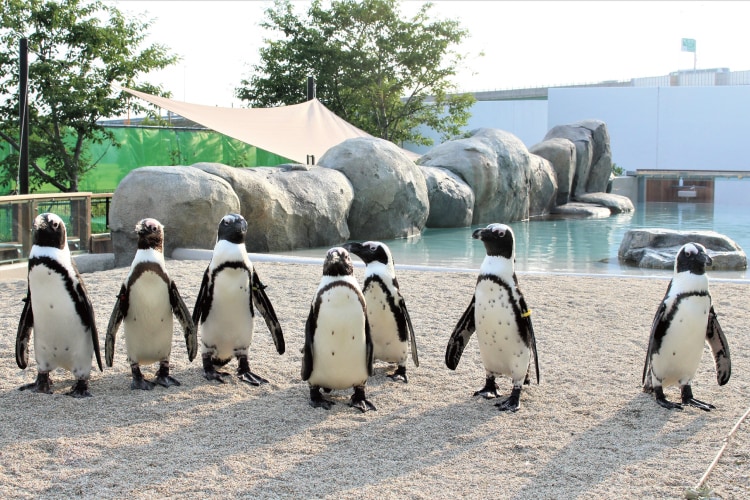 館内ガイド｜仙台うみの杜水族館