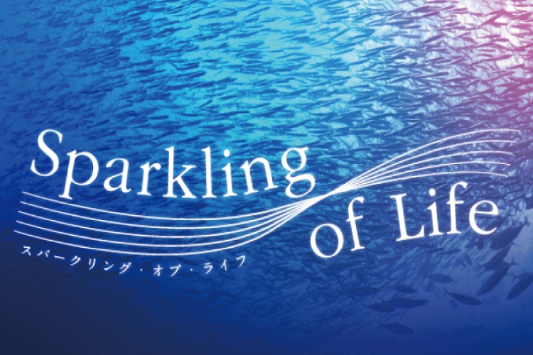 【ゆめみるいわし】 ゆめみるいわし様専用】