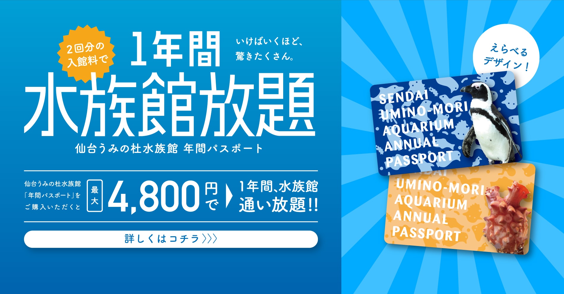 年間パスポートのご案内｜仙台うみの杜水族館