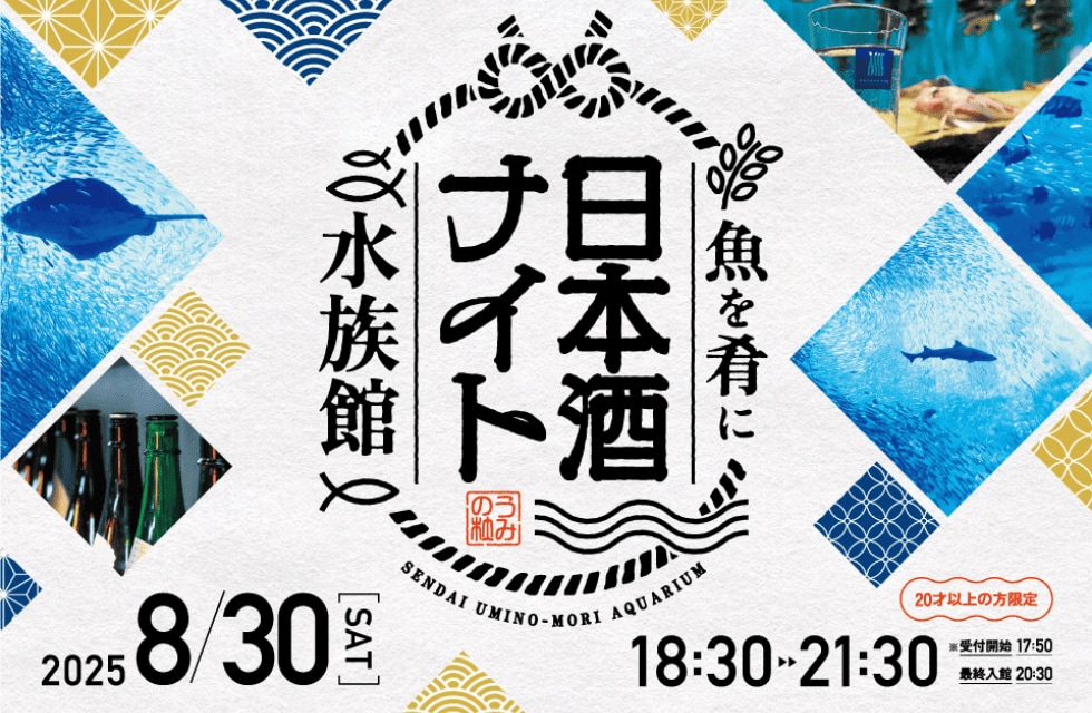日本酒ナイトイメージ