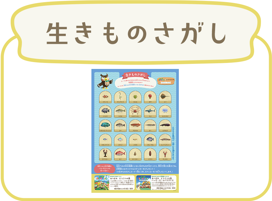 生きものさがし