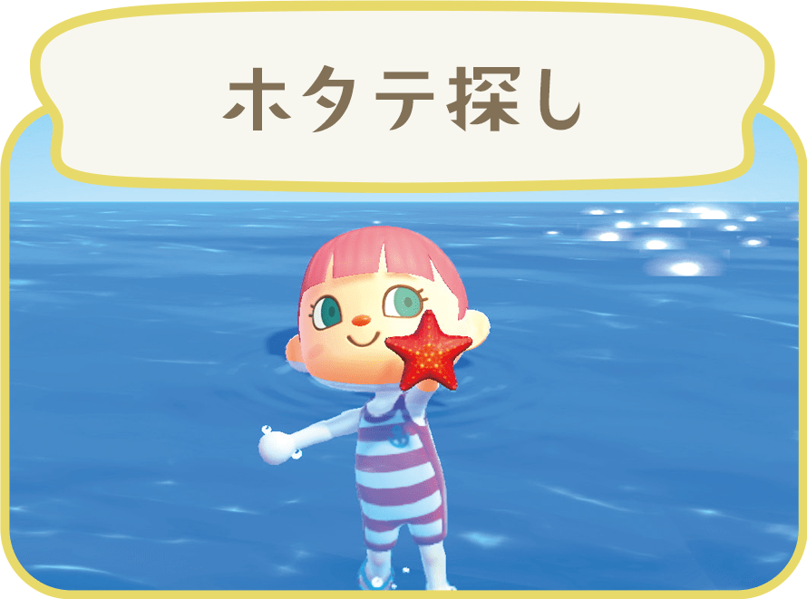 ホタテ探し