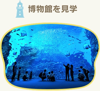 博物館を見学