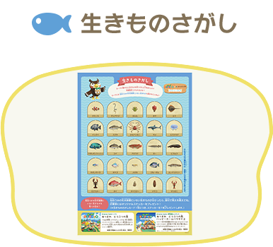 生きものさがし