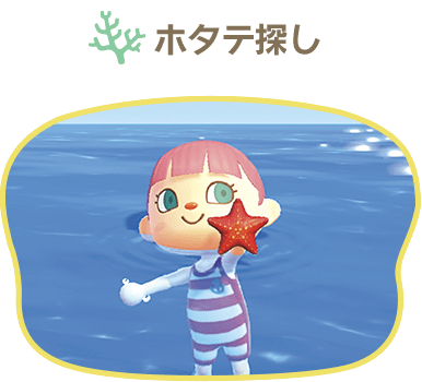 ホタテ探し