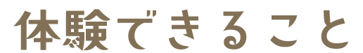 体験できること！