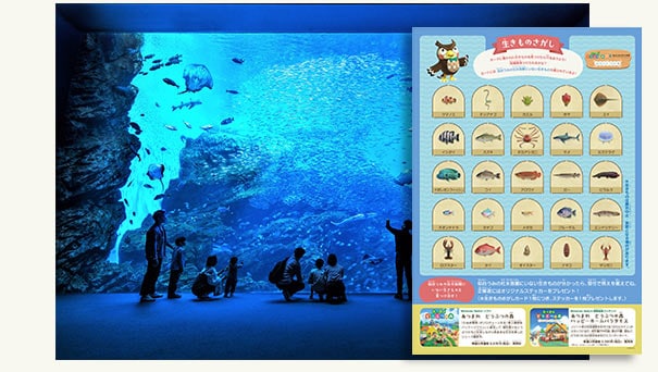 水族館入館券＋生きものさがしカード1枚