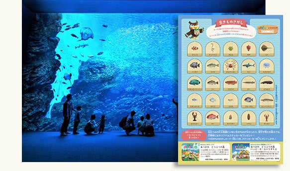 水族館入館券＋生きものさがしカード1枚