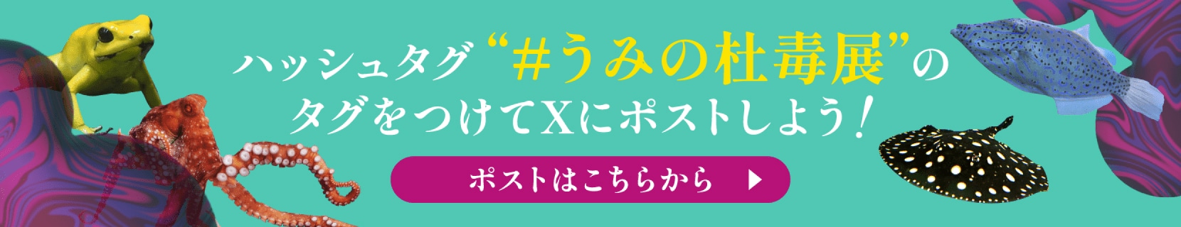 ハッシュタグ #うみの杜毒展のタグをつけてXにポストしよう! ポストはこちらから