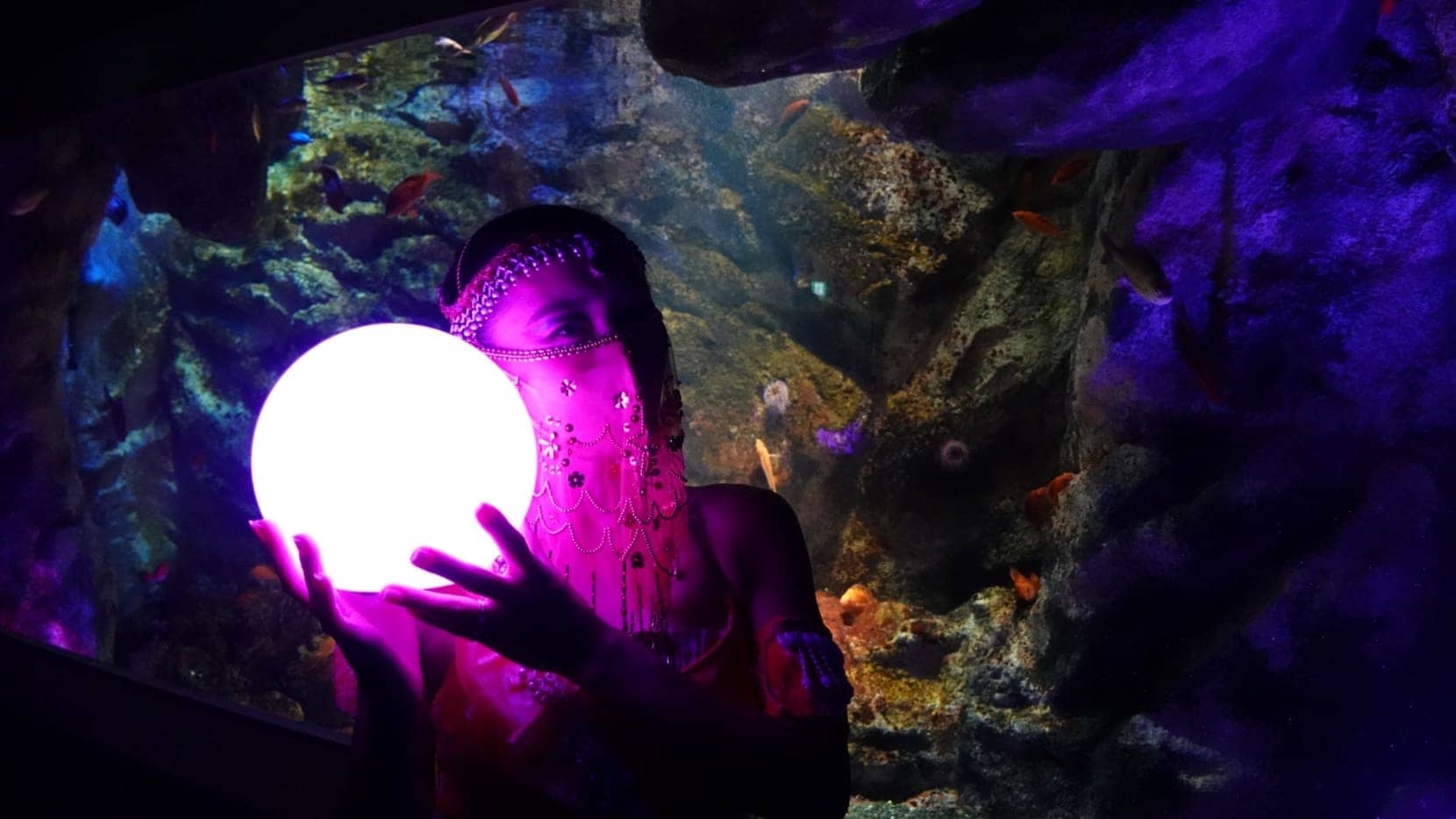 ぎゅな様）オーシャンシアター 海洋楽園 ぎゅな様）オーシャンシアター