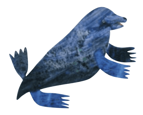 アシカのイラスト