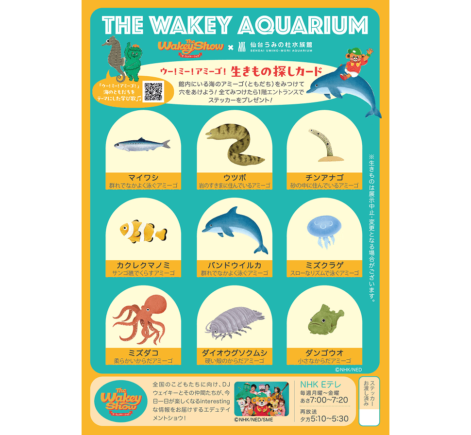生きもの探しカード