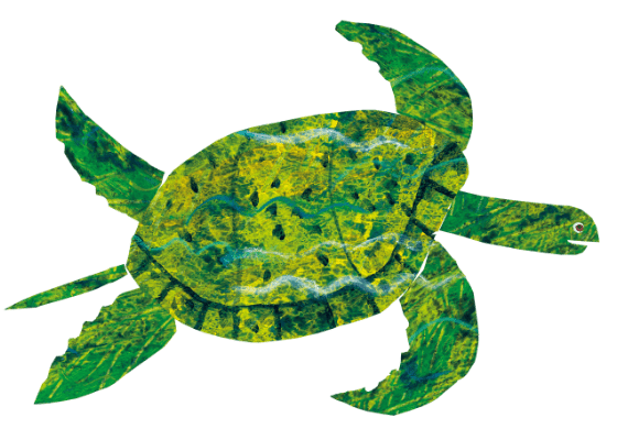 カメのイラスト