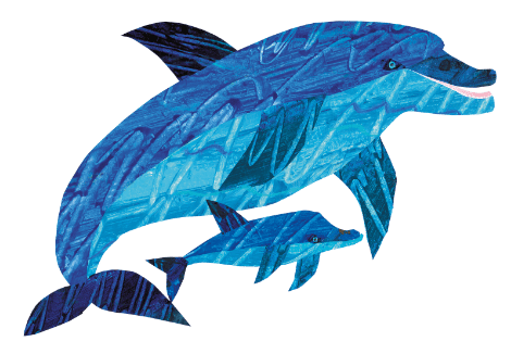 イルカイラスト