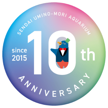 10th Anniversary