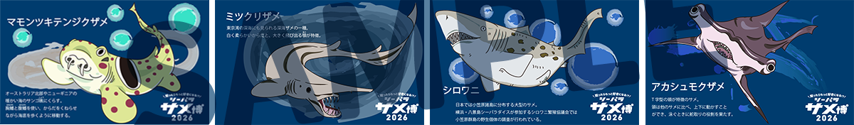 オリジナルのサメカード