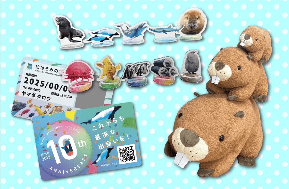 グッズイメージ