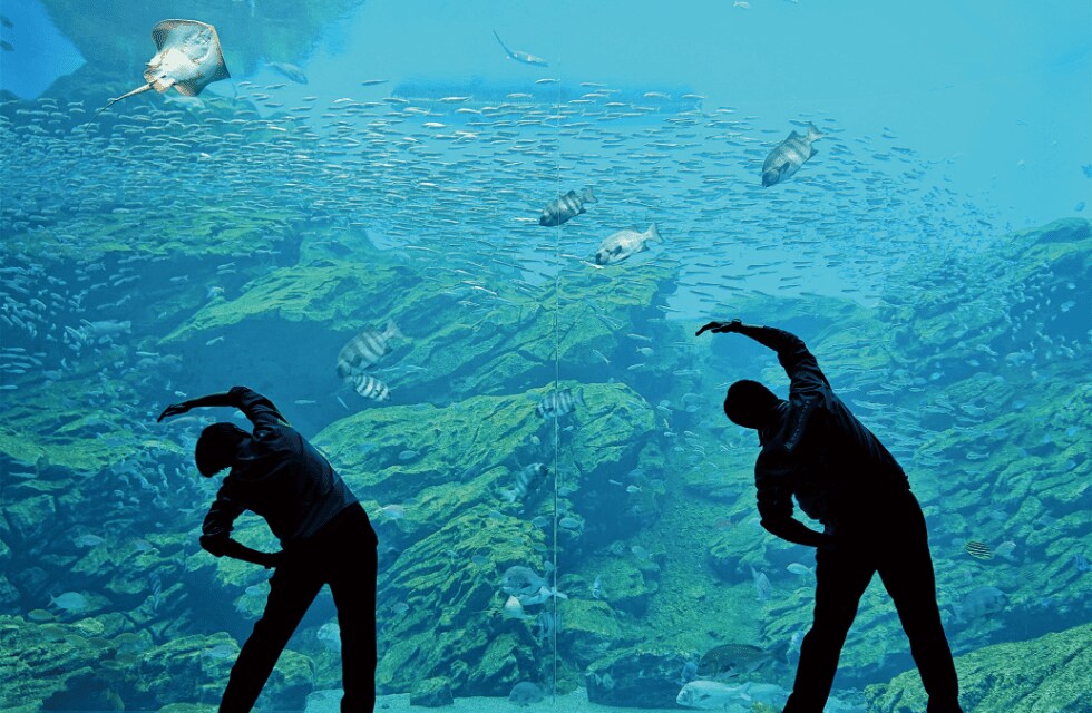 モーニングアクアリウムイメージ