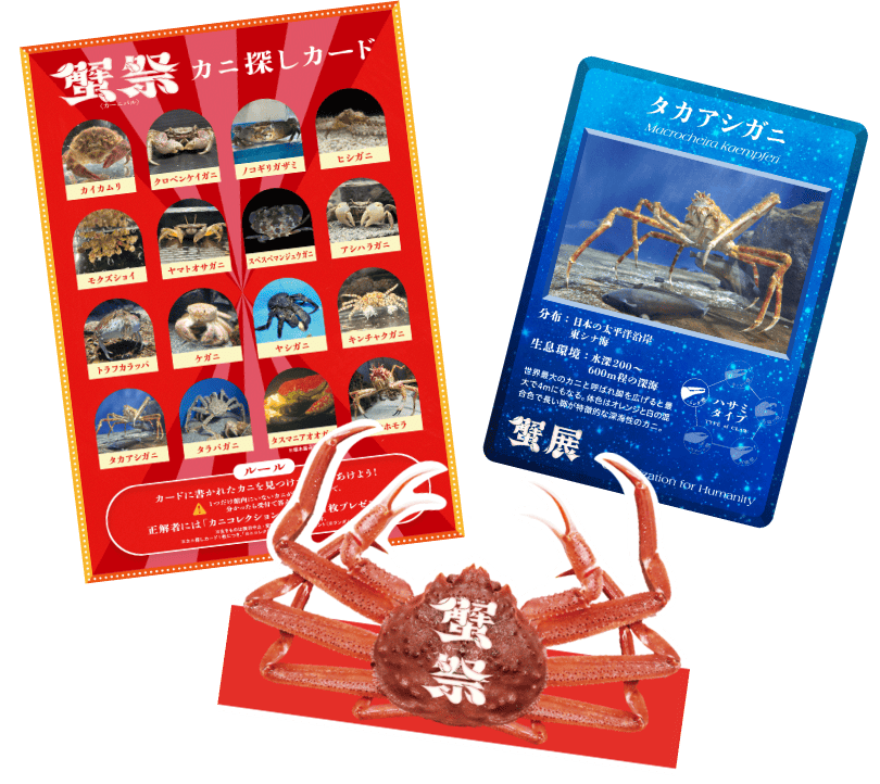 あなたもカニになれる!?こだわりのカニグッズイメージ